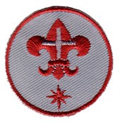 BPS-Bronzelilie Aufnäher